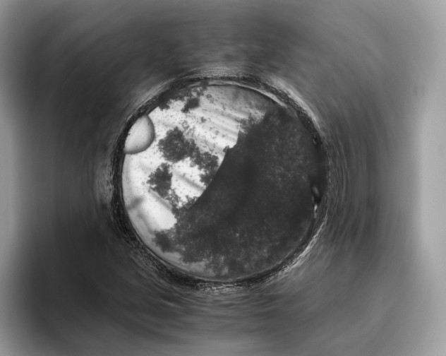 X0000095951213200802011055