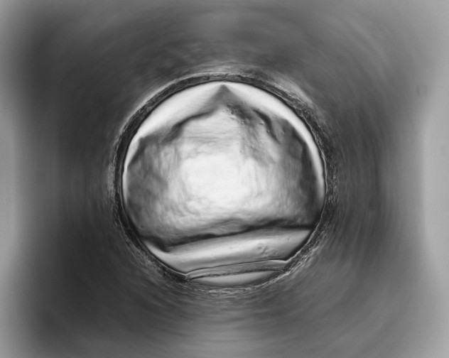 X0000095951216200802011055