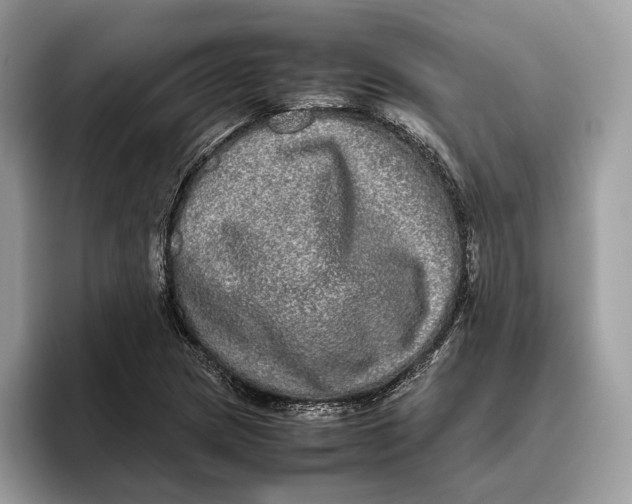 X0000095951217200802011055