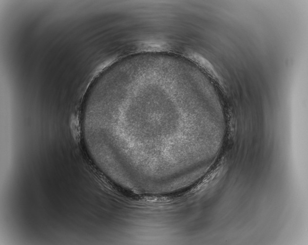 X0000095951218200802011055