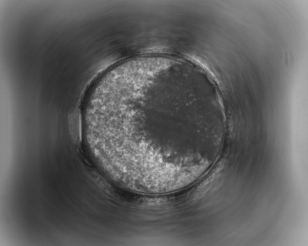 X0000095951219200802011055