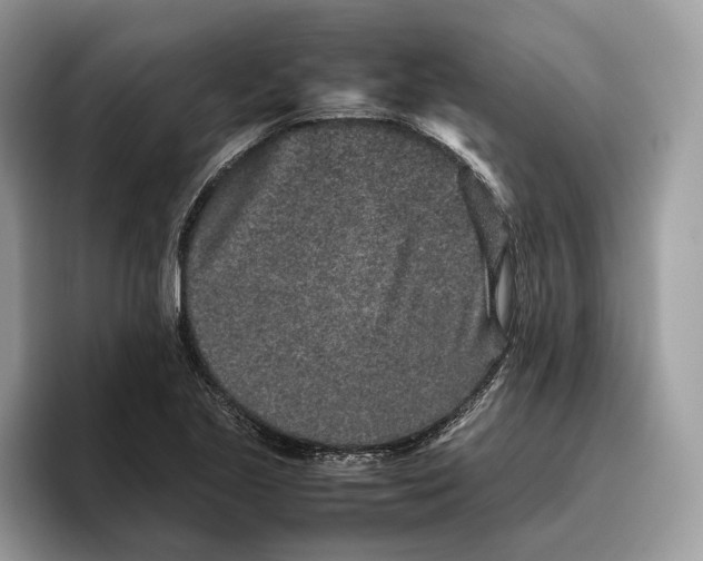 X0000095951221200802011055