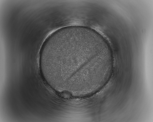 X0000095951222200802011055