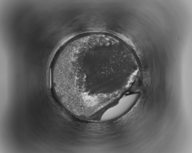 X0000095951223200802011055