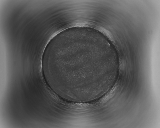 X0000095951226200802011055