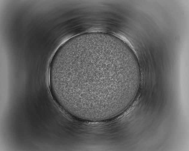 X0000095951227200802011055