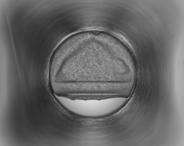 X0000095951228200802011055