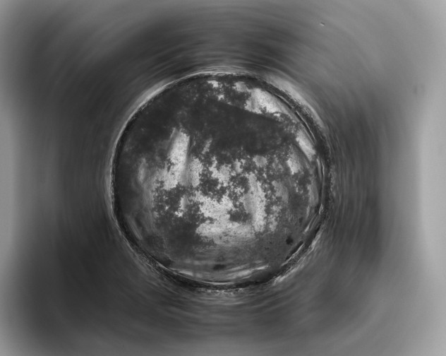 X0000095951229200802011055