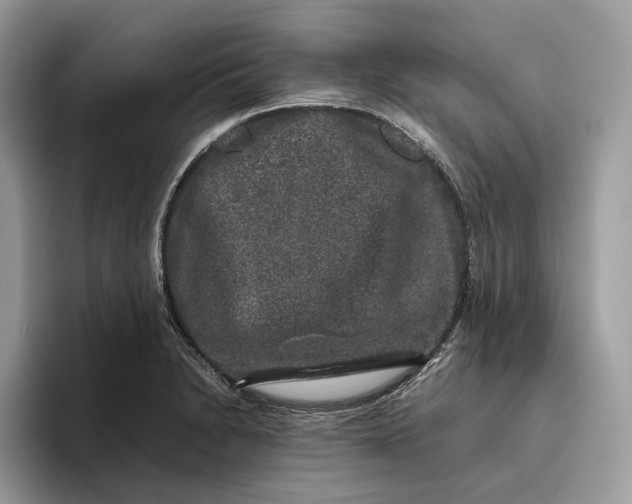 X0000095951230200802011055