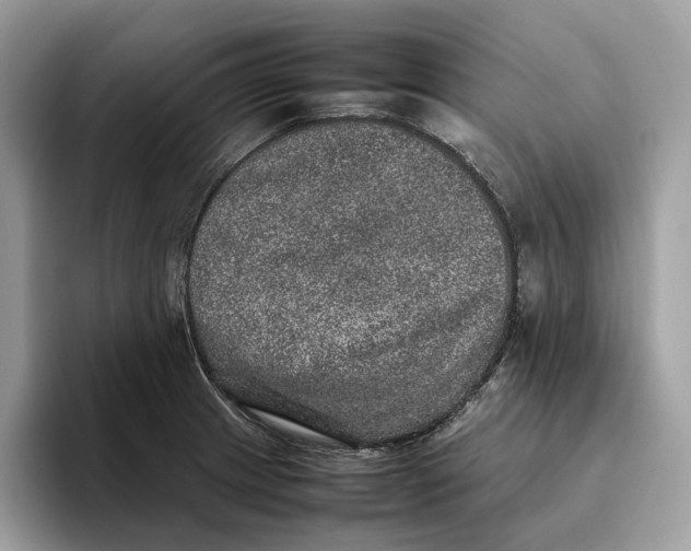 X0000095951233200802011055