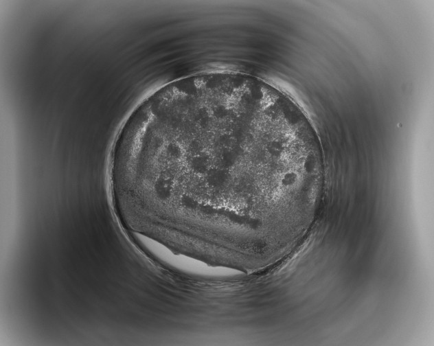 X0000095951235200802011055