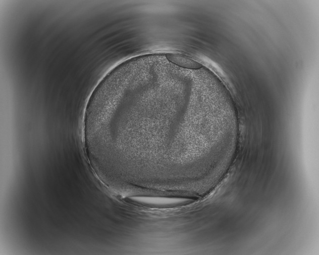 X0000095951236200802011055