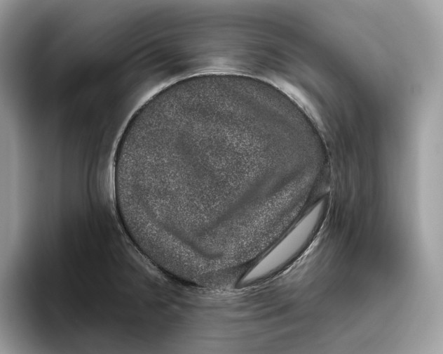 X0000095951238200802011055