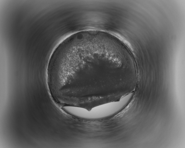 X0000095951239200802011055