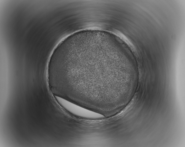 X0000095951240200802011055