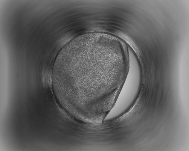 X0000095951241200802011055