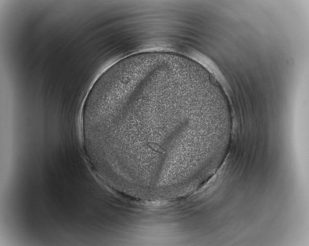 X0000095951242200802011055