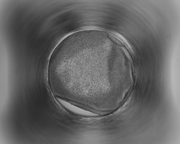 X0000095951244200802011055