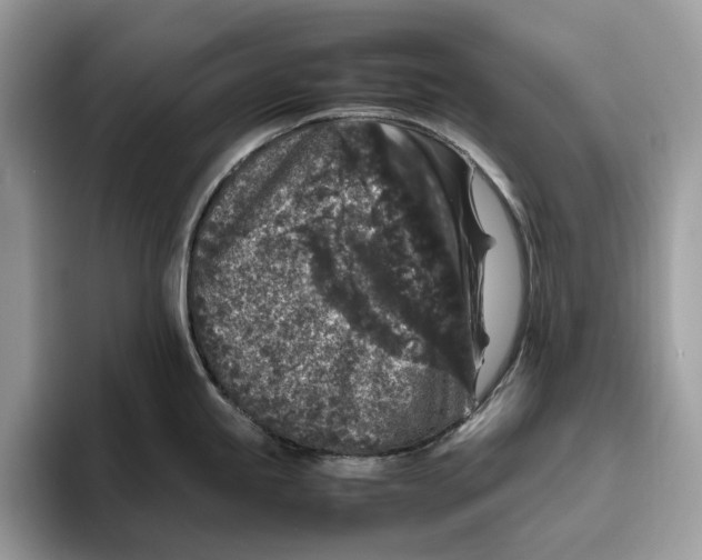 X0000095951245200802011055