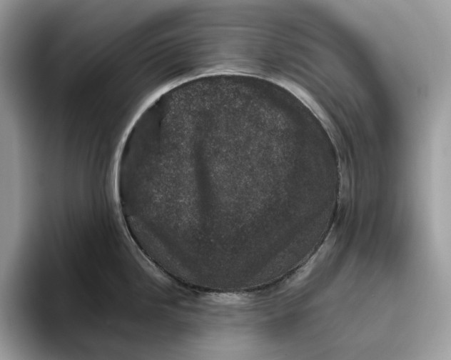 X0000095951246200802011055