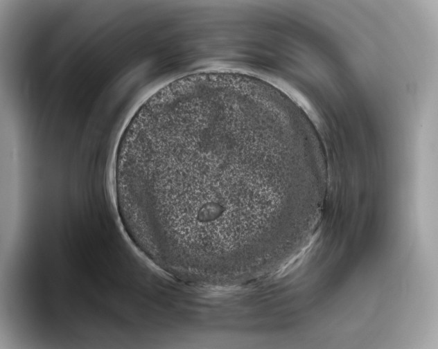 X0000095951247200802011055