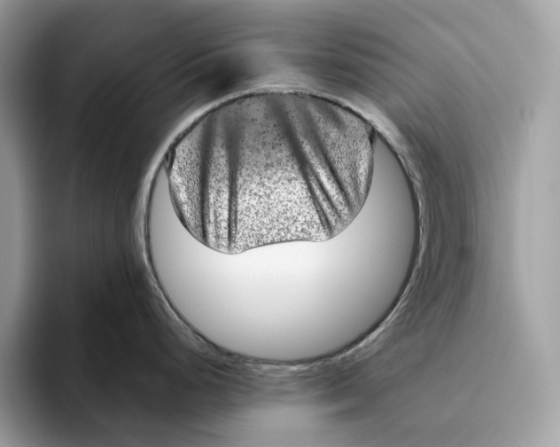 X0000095951248200802011055