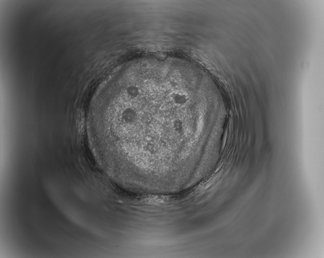 X0000095951251200802011054