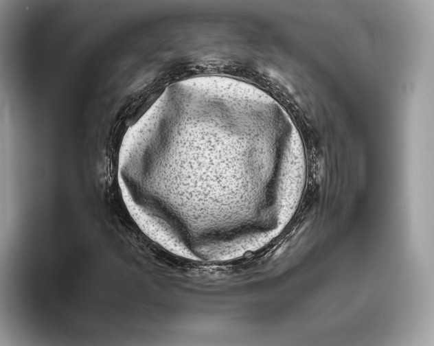 X0000095951253200802011054