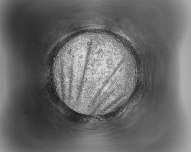 X0000095951255200802011054