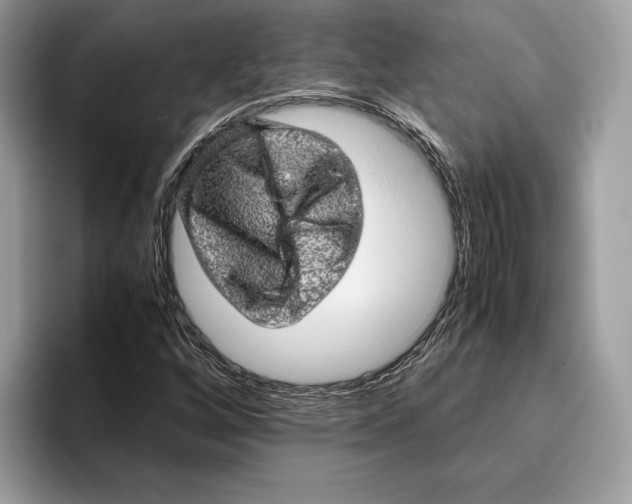 X0000095951256200802011054