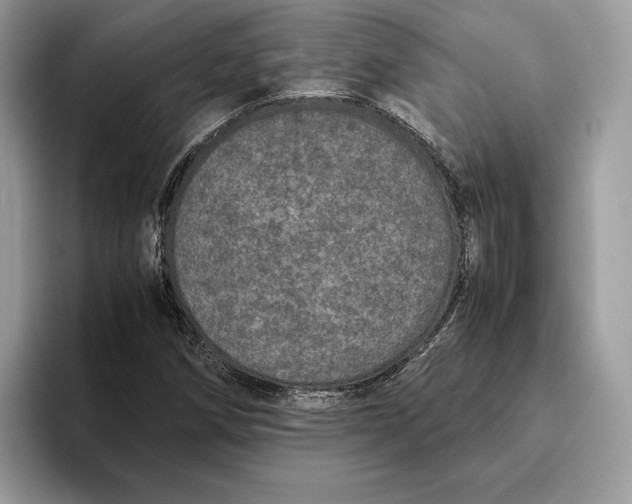 X0000095951258200802011054