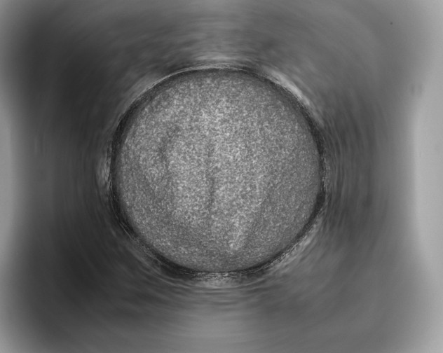 X0000095951259200802011054