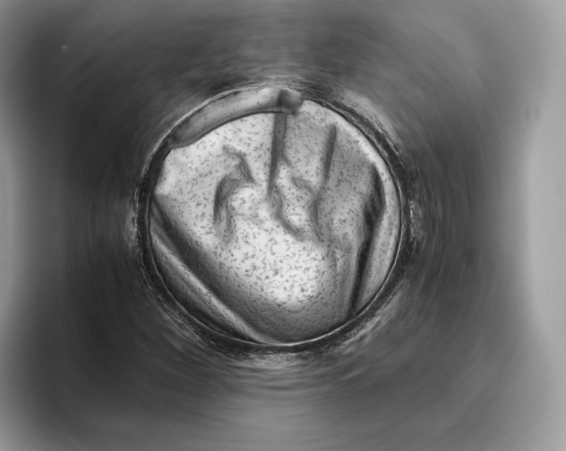 X0000095951260200802011054