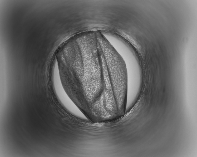 X0000095951261200802011054