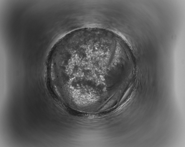 X0000095951263200802011054