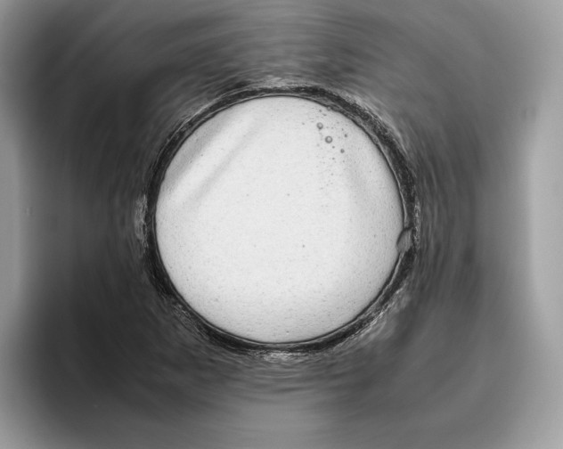 X0000095951265200802011054