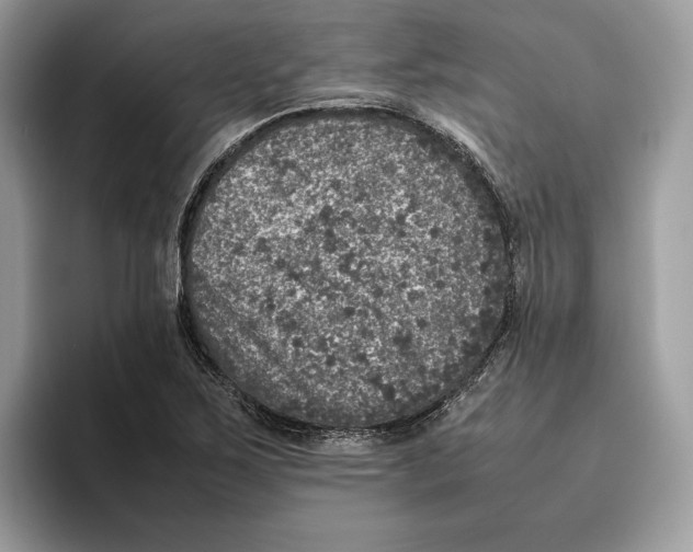 X0000095951267200802011054