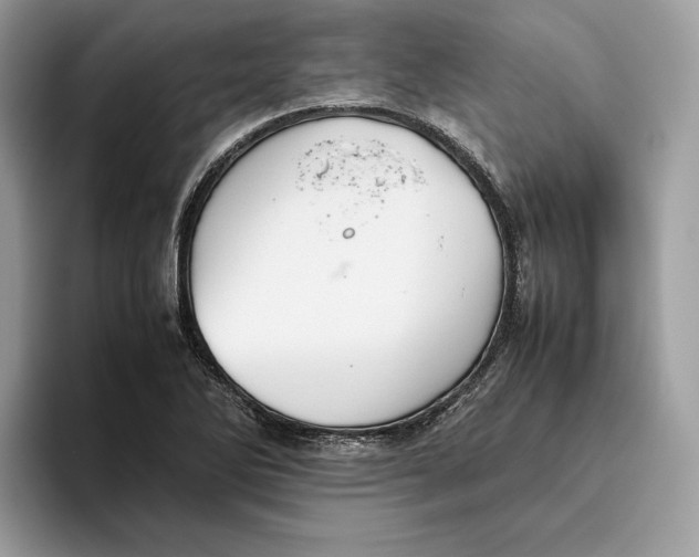 X0000095951270200802011054