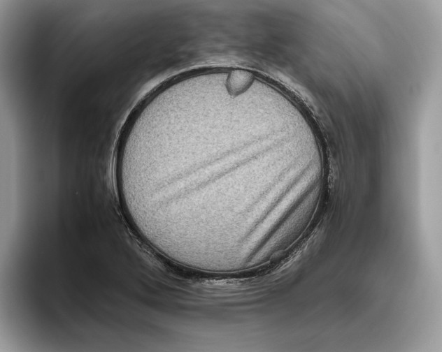 X0000095951272200802011054