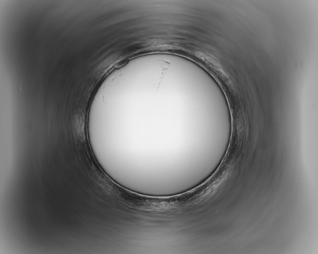 X0000095951273200802011054