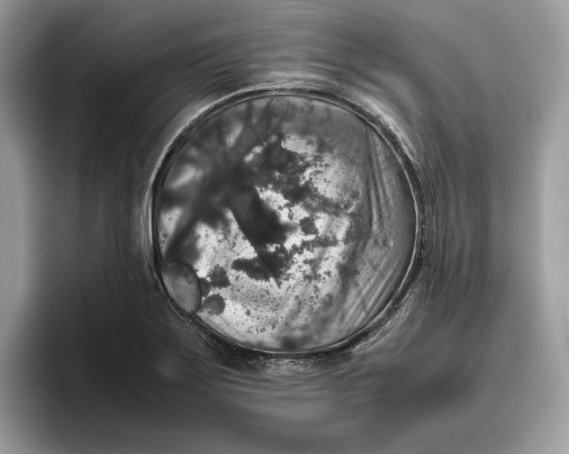 X0000095951275200802011054