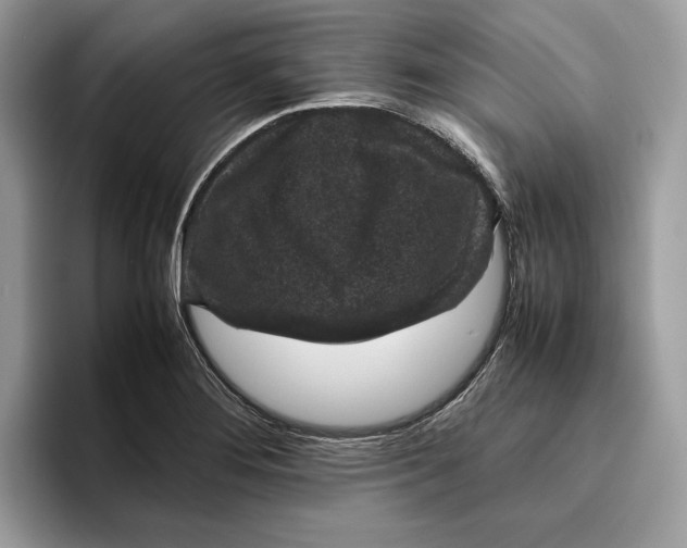 X0000095951276200802011054