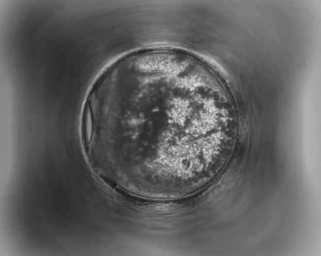 X0000095951279200802011054