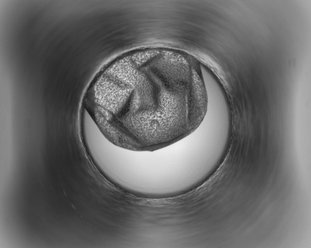 X0000095951280200802011054