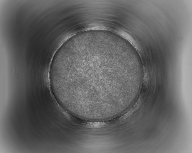 X0000095951282200802011054