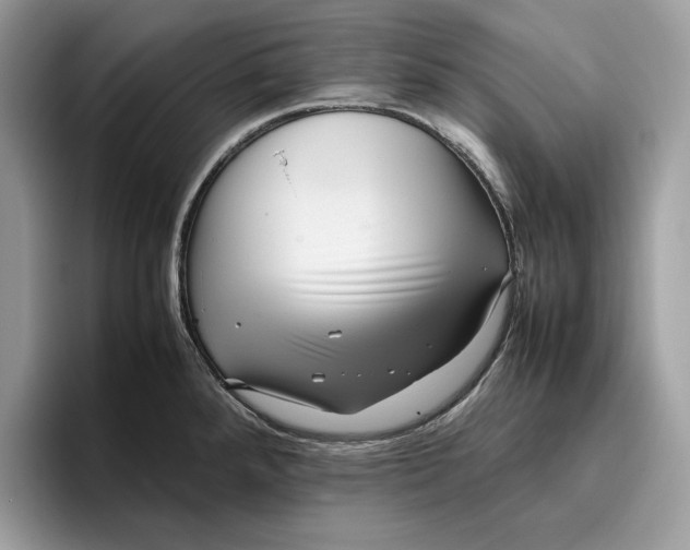 X0000095951288200802011054