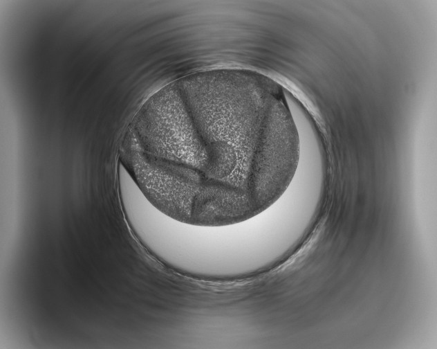 X0000095951289200802011054