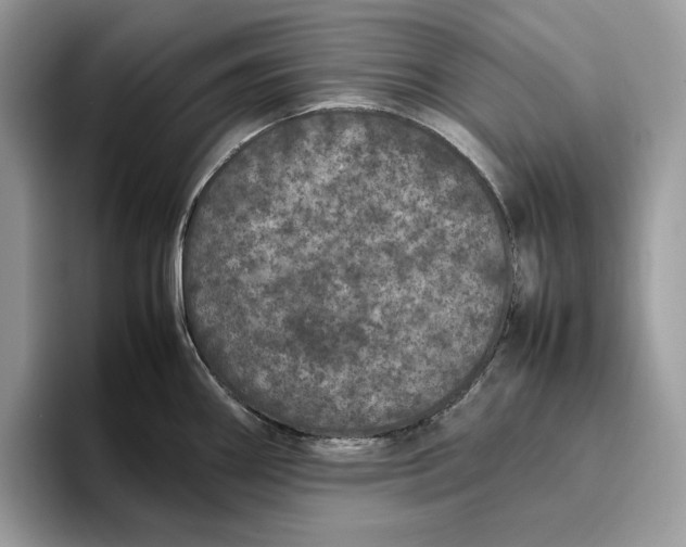 X0000095951290200802011054