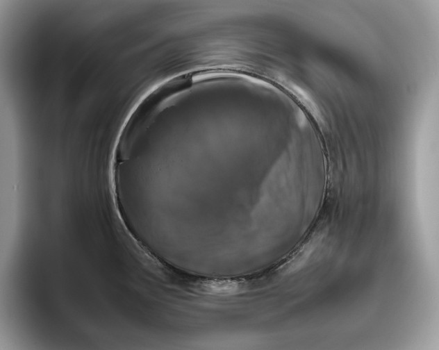 X0000095951291200802011054