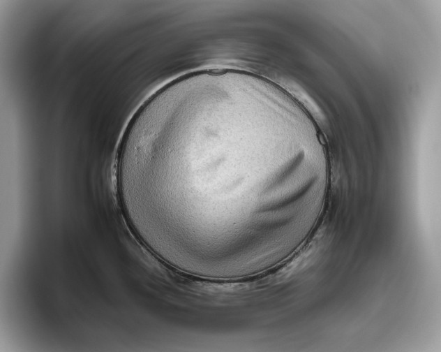 X0000095951292200802011054